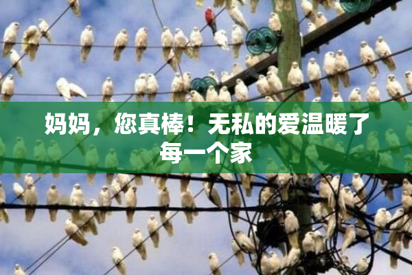 妈妈，您真棒！无私的爱温暖了每一个家