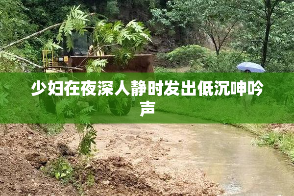 少妇在夜深人静时发出低沉呻吟声