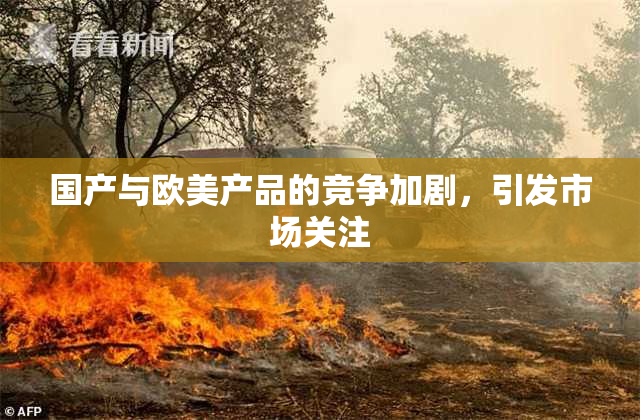 国产与欧美产品的竞争加剧，引发市场关注