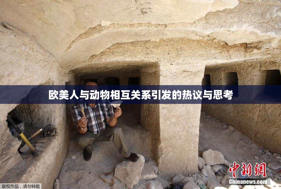欧美人与动物相互关系引发的热议与思考