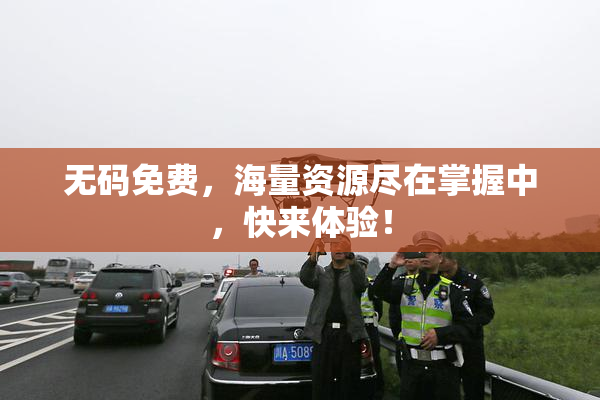 无码免费，海量资源尽在掌握中，快来体验！