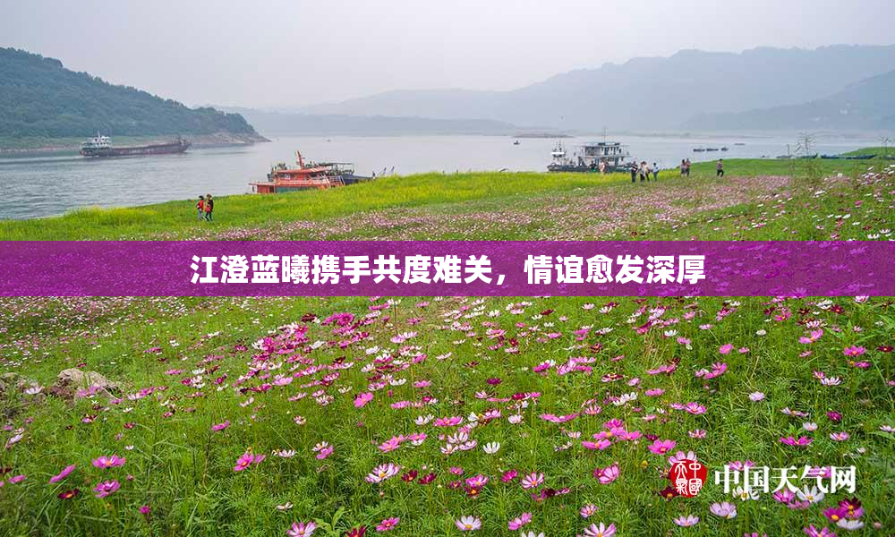 江澄蓝曦携手共度难关，情谊愈发深厚