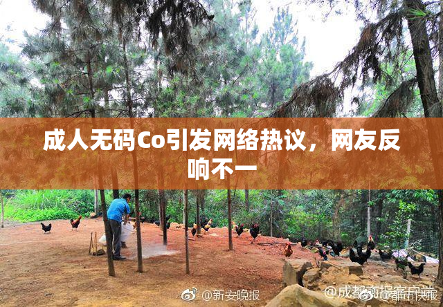 成人无码Co引发网络热议，网友反响不一