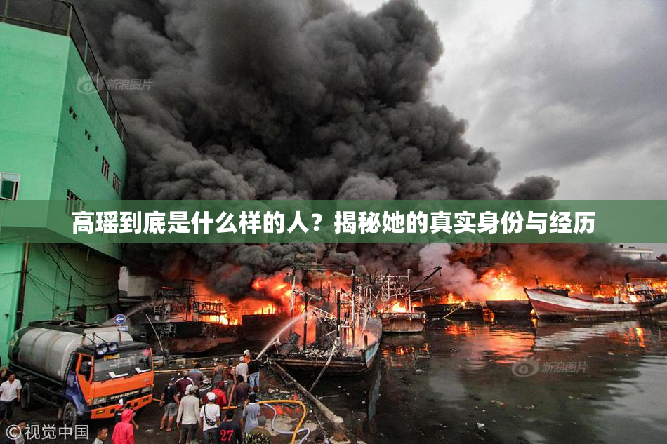 高瑶到底是什么样的人？揭秘她的真实身份与经历