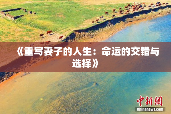 《重写妻子的人生：命运的交错与选择》