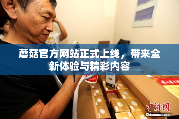 蘑菇官方网站正式上线，带来全新体验与精彩内容