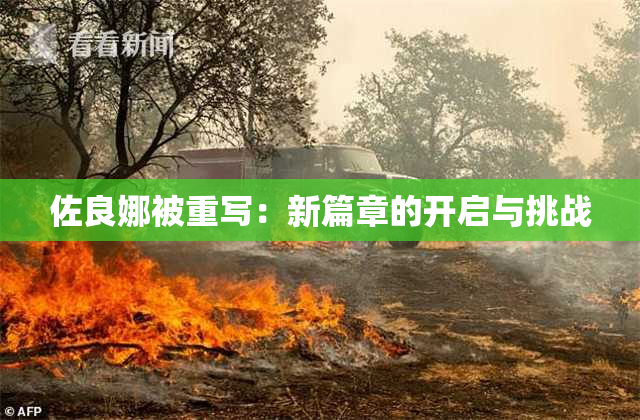 佐良娜被重写：新篇章的开启与挑战