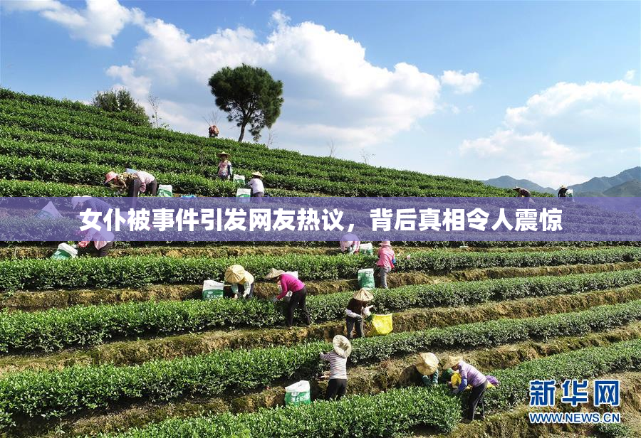 女仆被事件引发网友热议，背后真相令人震惊