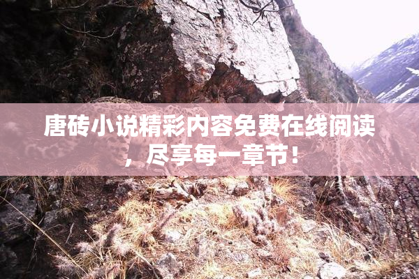 唐砖小说精彩内容免费在线阅读，尽享每一章节！