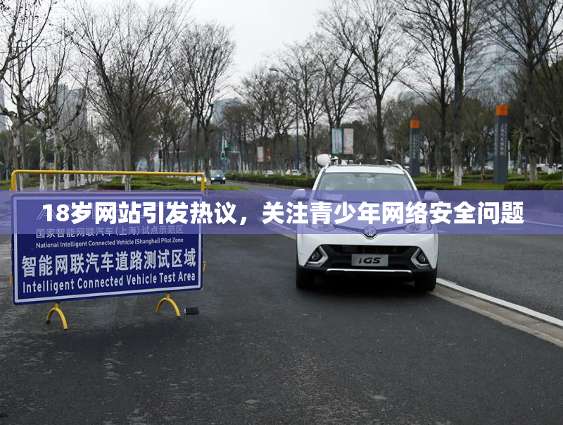 18岁网站引发热议，关注青少年网络安全问题
