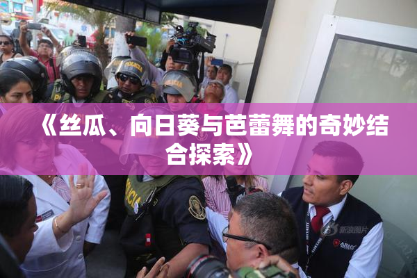 《丝瓜、向日葵与芭蕾舞的奇妙结合探索》