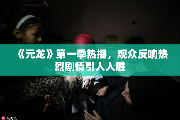 《元龙》第一季热播，观众反响热烈剧情引人入胜