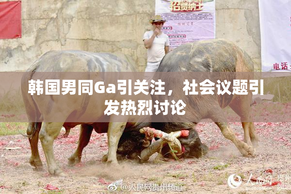 韩国男同Ga引关注，社会议题引发热烈讨论
