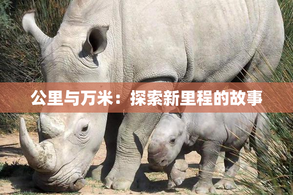 公里与万米：探索新里程的故事