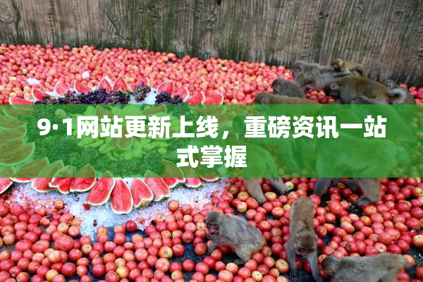 9·1网站更新上线，重磅资讯一站式掌握