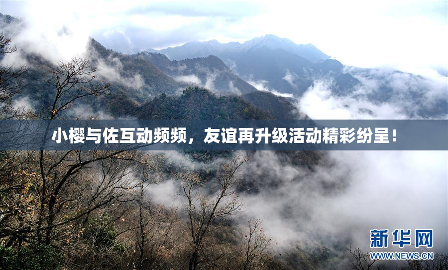小樱与佐互动频频，友谊再升级活动精彩纷呈！