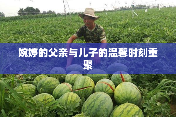 婉婷的父亲与儿子的温馨时刻重聚