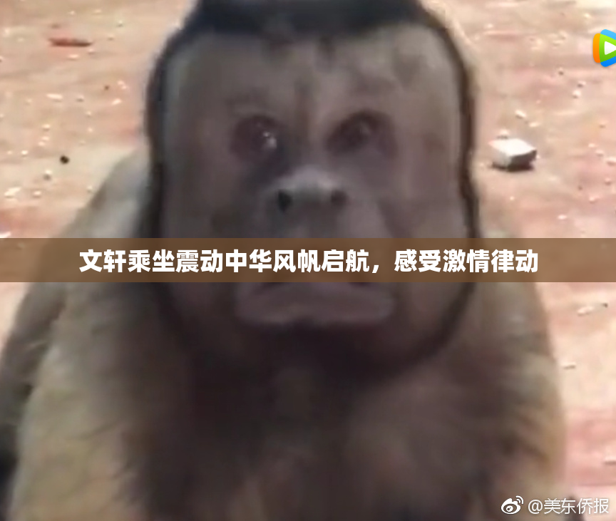 文轩乘坐震动中华风帆启航，感受激情律动