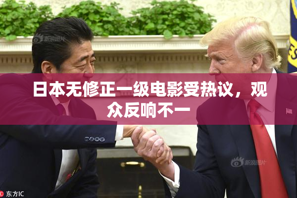 日本无修正一级电影受热议，观众反响不一