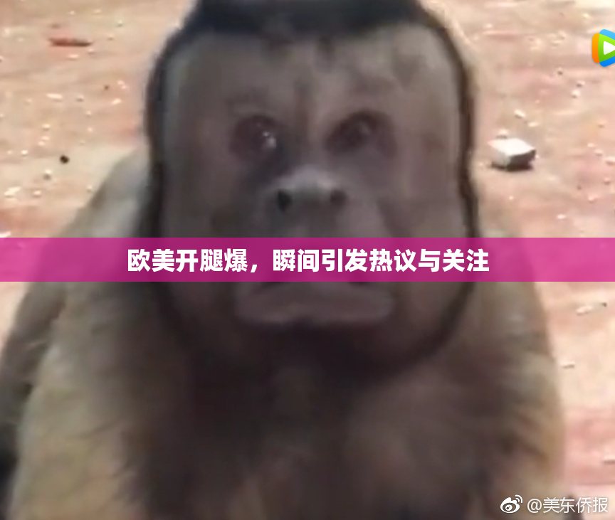 欧美开腿爆，瞬间引发热议与关注