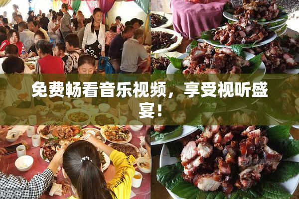 免费畅看音乐视频，享受视听盛宴！