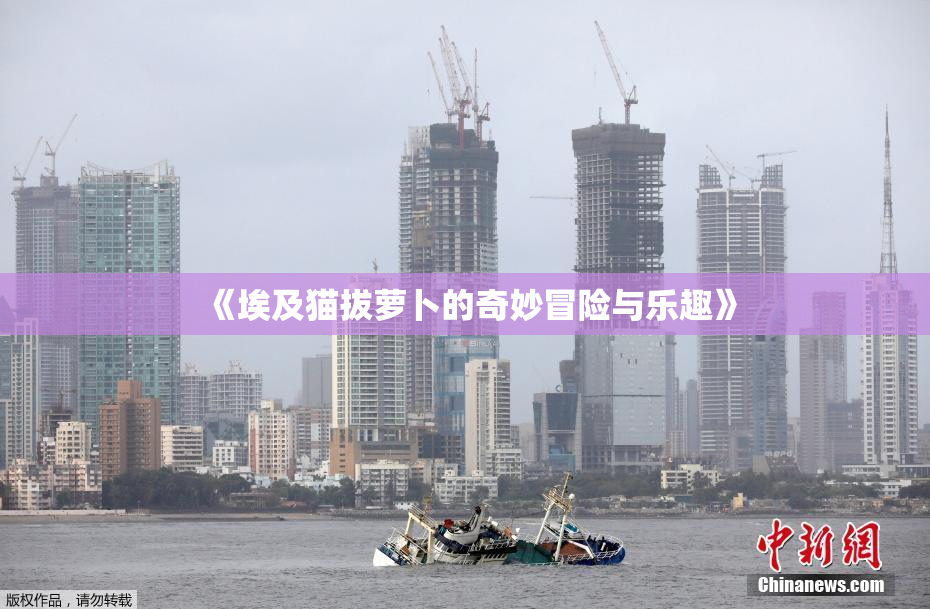 《埃及猫拔萝卜的奇妙冒险与乐趣》