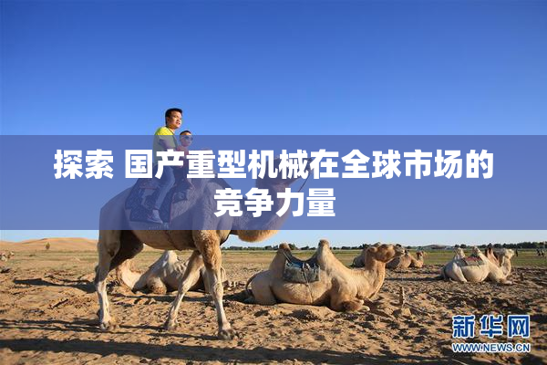 探索 国产重型机械在全球市场的竞争力量