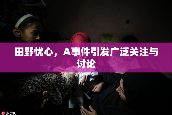 田野忧心，A事件引发广泛关注与讨论