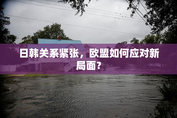 日韩关系紧张，欧盟如何应对新局面？