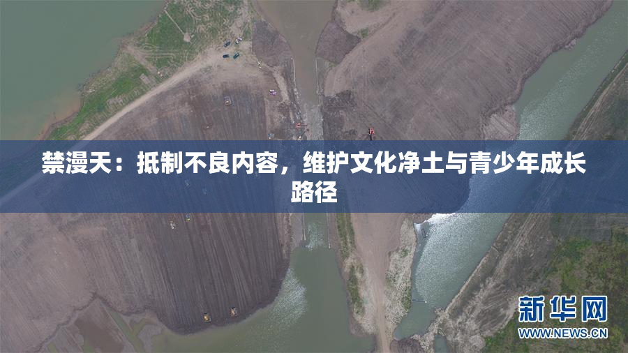 禁漫天：抵制不良内容，维护文化净土与青少年成长路径