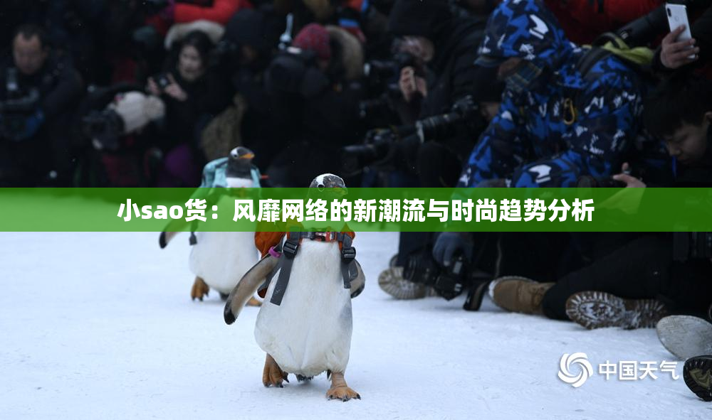 小sao货：风靡网络的新潮流与时尚趋势分析
