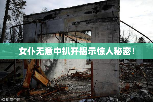 女仆无意中扒开揭示惊人秘密！