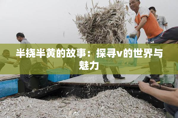 半挠半黄的故事：探寻v的世界与魅力
