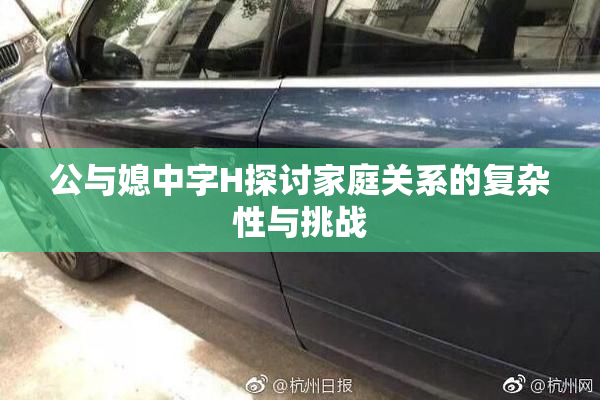 公与媳中字H探讨家庭关系的复杂性与挑战
