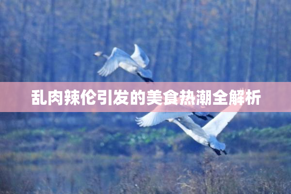 乱肉辣伦引发的美食热潮全解析