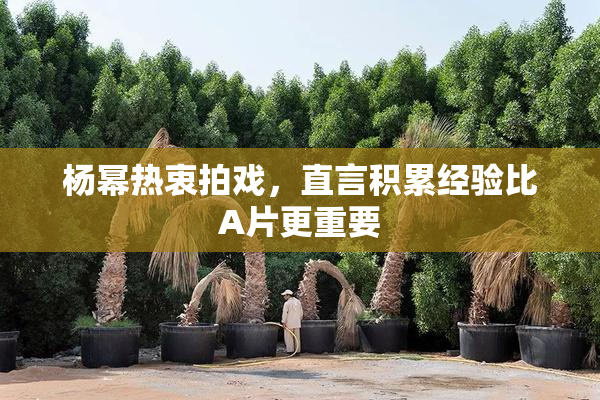 杨幂热衷拍戏，直言积累经验比A片更重要