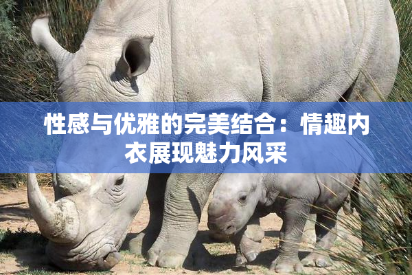 性感与优雅的完美结合：情趣内衣展现魅力风采