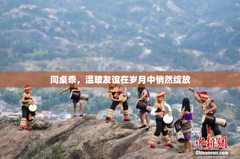 同桌乖，温暖友谊在岁月中悄然绽放