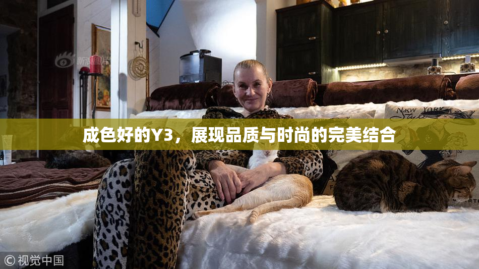 成色好的Y3，展现品质与时尚的完美结合