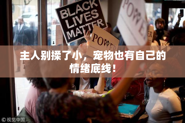 主人别揉了小，宠物也有自己的情绪底线！