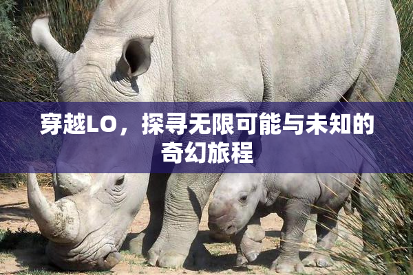 穿越LO，探寻无限可能与未知的奇幻旅程