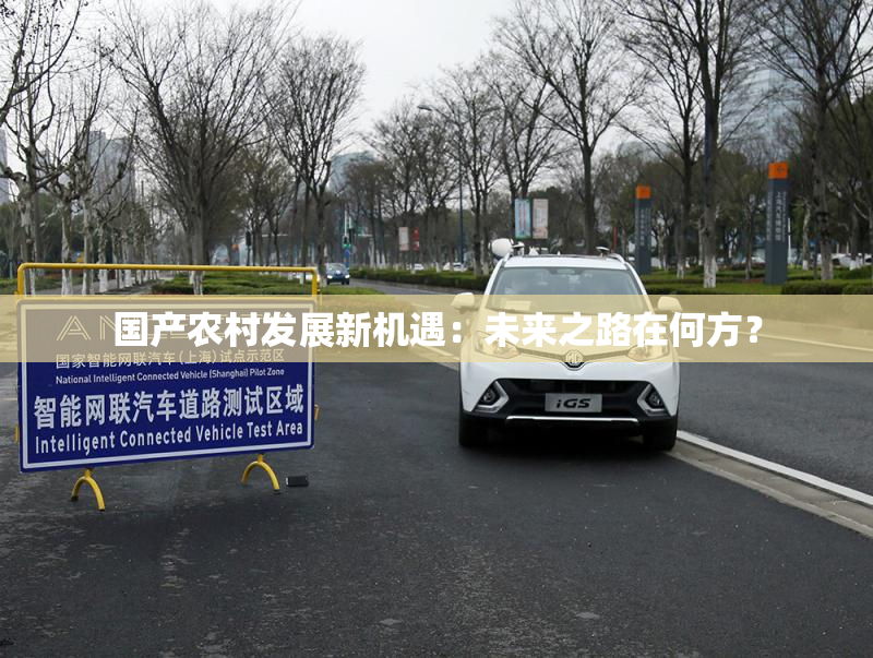 国产农村发展新机遇：未来之路在何方？