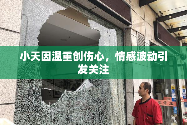 小天因温重创伤心，情感波动引发关注