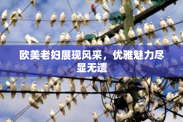 欧美老妇展现风采，优雅魅力尽显无遗