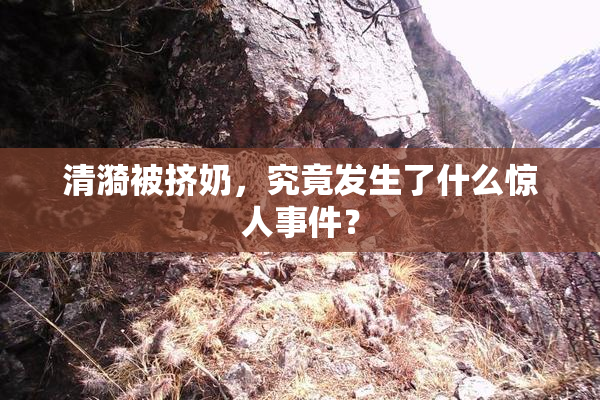 清漪被挤奶，究竟发生了什么惊人事件？