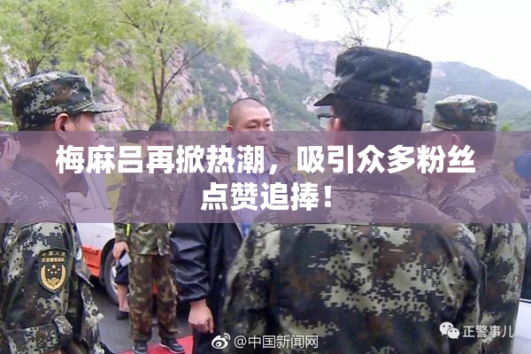 梅麻吕再掀热潮，吸引众多粉丝点赞追捧！