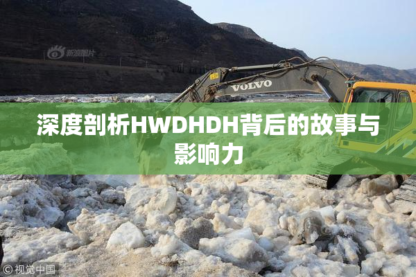 深度剖析HWDHDH背后的故事与影响力