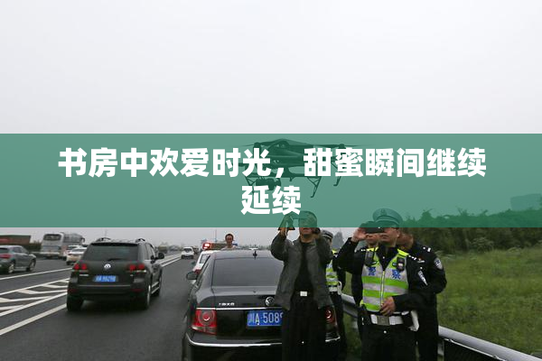 书房中欢爱时光，甜蜜瞬间继续延续