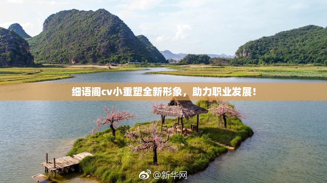 细语阁cv小重塑全新形象，助力职业发展！