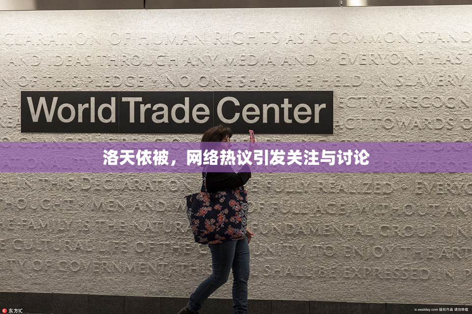 洛天依被，网络热议引发关注与讨论